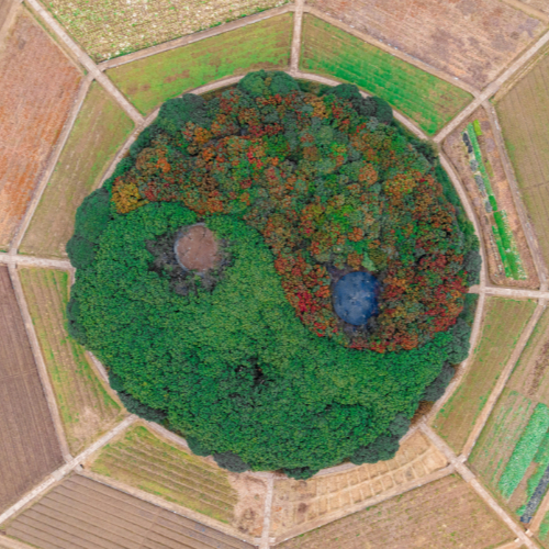 Feng Shui bei Haustüren und Fenstern – Der Schlüssel zu positiver Energie im Zuhause